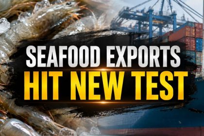 India's $8.46B Seafood Exports Hit by 43% Antibiotic Rejections