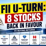 FIIs Return to Stocks That Already Delivered 100%+ Gains