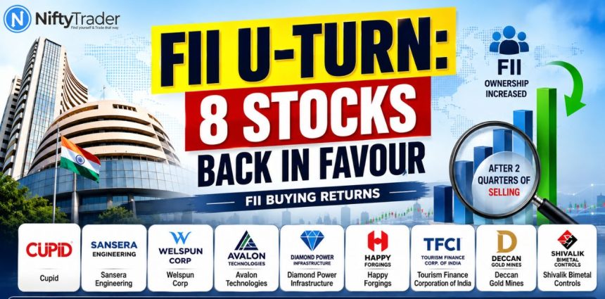 FIIs Return to Stocks That Already Delivered 100%+ Gains